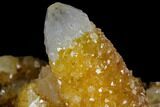 Sunshine Cactus Quartz Crystal Cluster - South Africa #115168-1